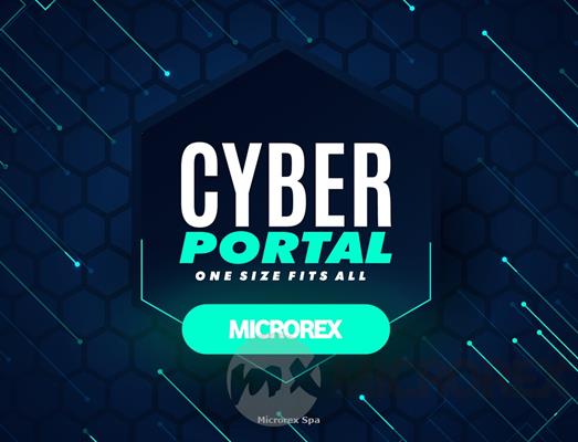 Cyber Portal